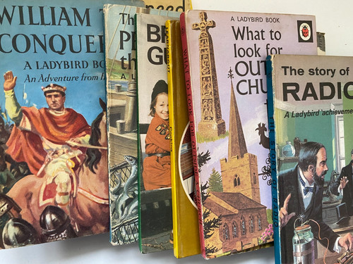 Job lot vintage ladybird - job,