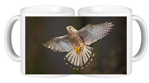 Kestrel birds ceramic coffee - birds,