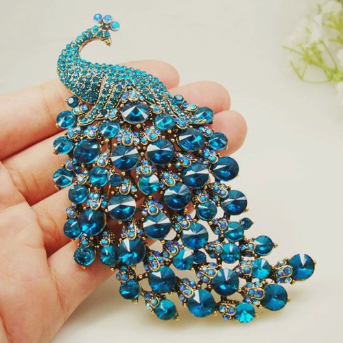Fancy large blue peacock - fancy,