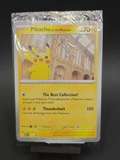Pikachu At The Museum - Jumbo
