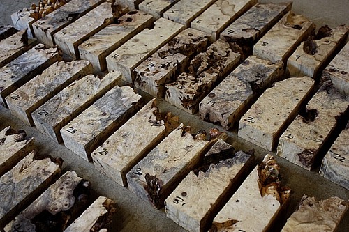 Buckeye burl edges and - buckeye,