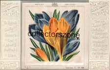 Fab Patent Patchwork Postcard