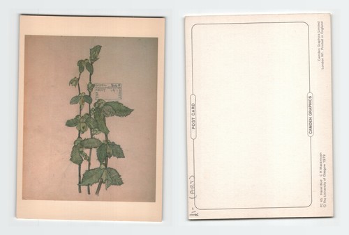 Vintage postcard charles - vintage,