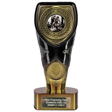 MMA Cage Fighting Award (FC5)
