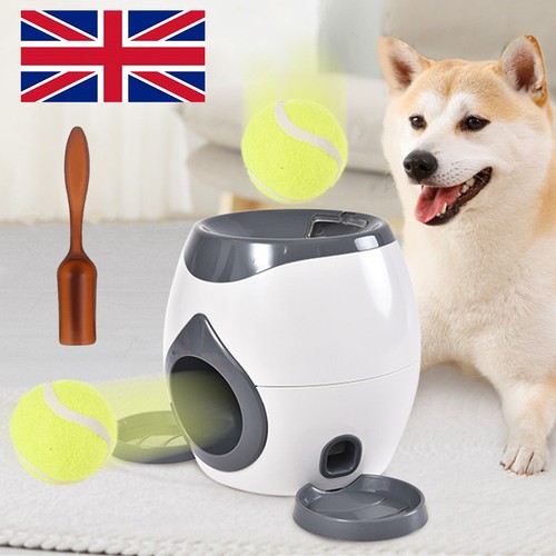 Dog automatic ball launcher - dog,