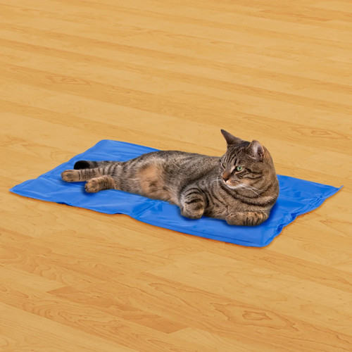 Pet cooling mat dog - cooling,