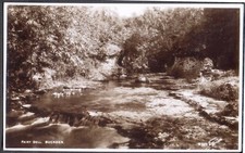 Fairy Dell, BUCKDEN, Yorkshire. Vintage Real Photo Postcard. Free UK Postage