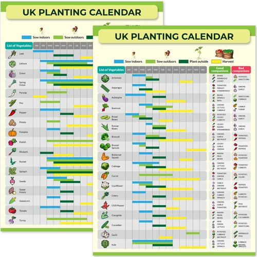 Gardening allotment planting - gardening,