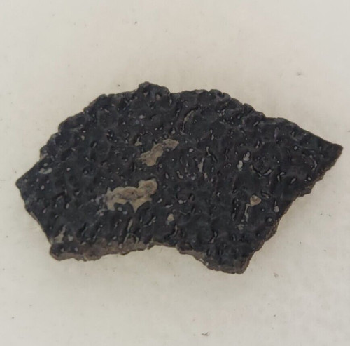 Hadrosaur egg shell fossil - egg,