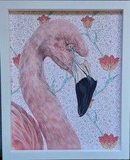 Original wildlife Flamingo
