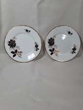 Salisbury Bone China England