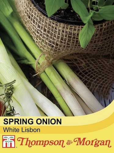 Thompson morgan spring onion - morgan,
