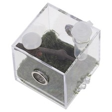 Small Spider Enclosure Jumping