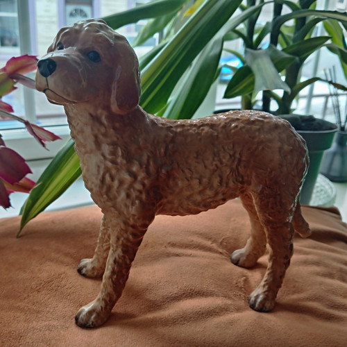 John beswick cream - cream, labradoodle