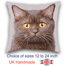 Brown Shorthair Cat Cushion Design, Cat Art Cushion, Brown Shorthair Cat Pillow