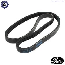 Vribbed belt 6pk2213 - vribbed,