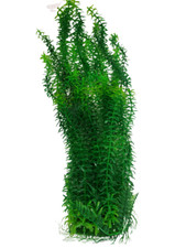 Green Jumbo Extra Large Tall Artifical Plastic Aquarium Plant  20''/ 50cm Tall