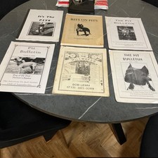 American pitbull terrier