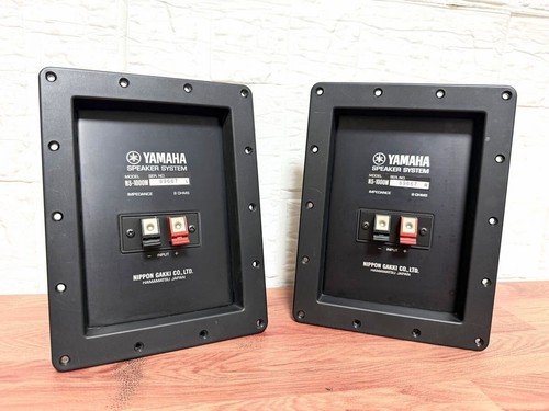 Yamaha 1000m network pair - ns-1000m,