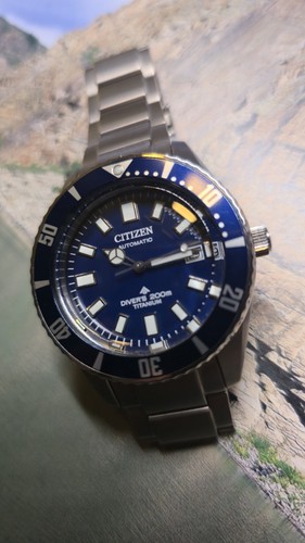 Citizen promaster fujitsubo - promaster,