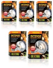 Exo Terra Intense Basking Spot Lamp Bulb 25w 50w 75w 100w 150w Reptile Vivarium