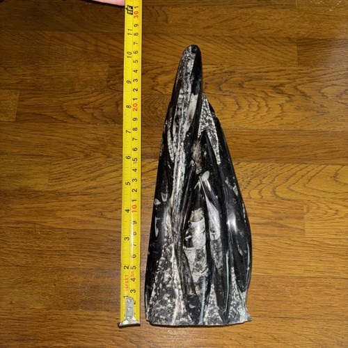 Inch tall standing - inch,