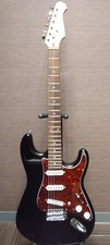 HARLEY BENTON Electric Guitar