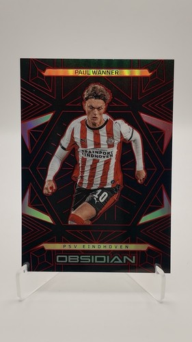 Paul wanner panini - wanner, obsidian