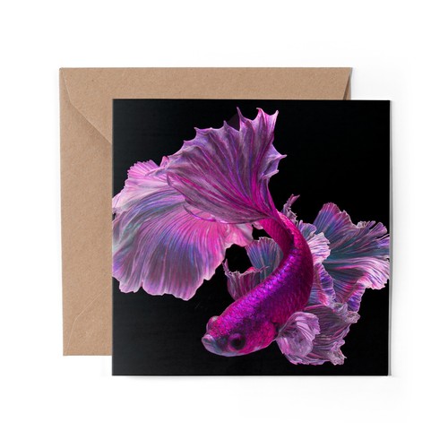 Greeting card fuchsia - card,