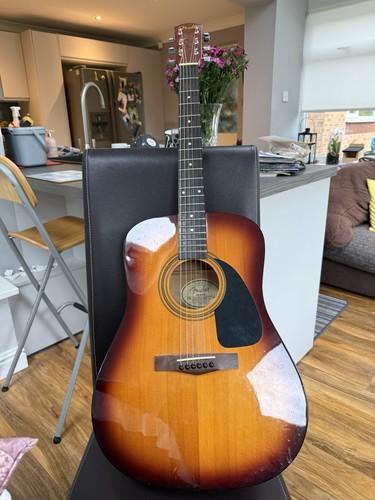 Acoustic guitar - acoustic,