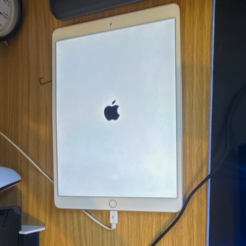 Apple ipad mini series - ipad,