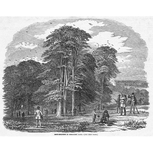 Penshurst park kent rook - park,