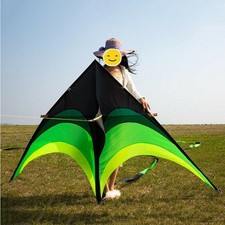 Large Delta Long Tail Kite 2m