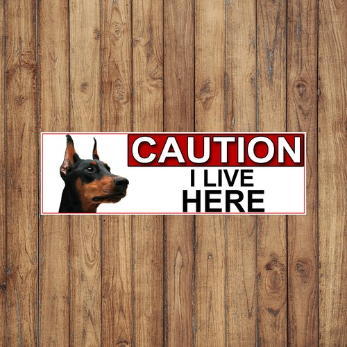 Doberman pinscher caution - doberman,