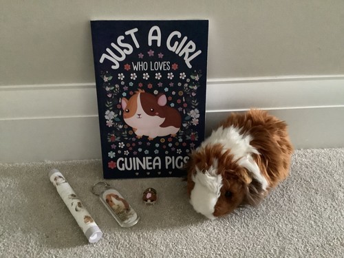 Guinea pig cuddly toy ark - pig, by