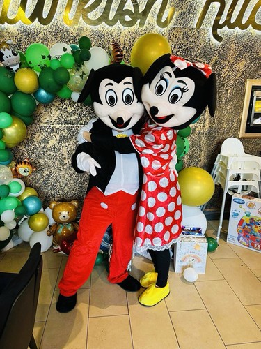 Micky and minnie costume - minnie,