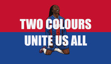 Crystal Palace FC Anti-Racism