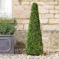Artificial topiary boxwood - topiary,