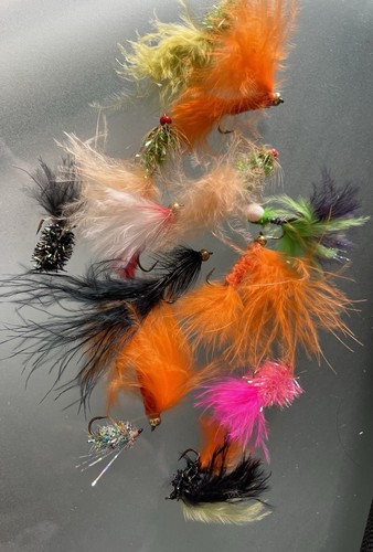 Job lot fishing flies lures - job,