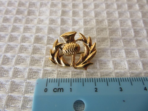 Scottish thistle rugby - scottish,