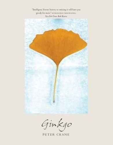 Ginkgo the tree - ginkgo:, that