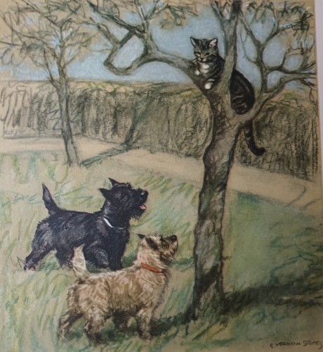 Scottish cairn terrier dogs - &,