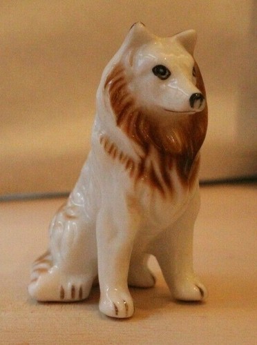 European collie lassie type - european,