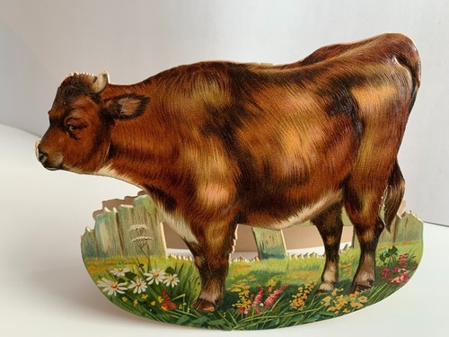 Cow mechanical rocking - cow,,