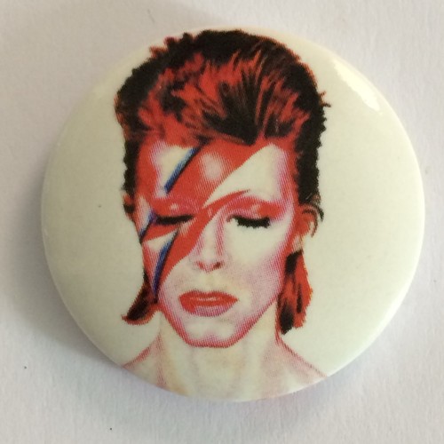 David bowie ziggy stardust pin - ziggy,