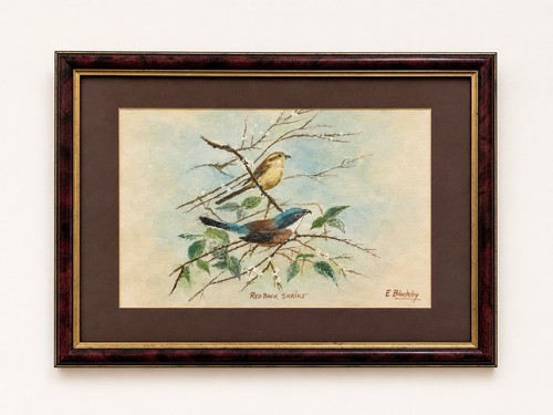 Original watercolour pencil - watercolour, &