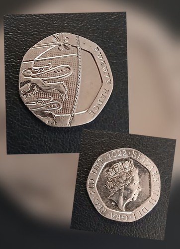 2022 shield 20p superb - 2022,