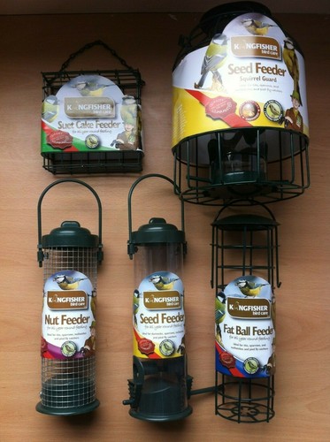 Bird feeder seed - bird,