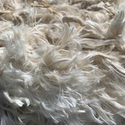 New suri alpaca fleece - alpaca,