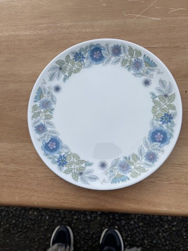 Vintage wedgwood bone - vintage, china